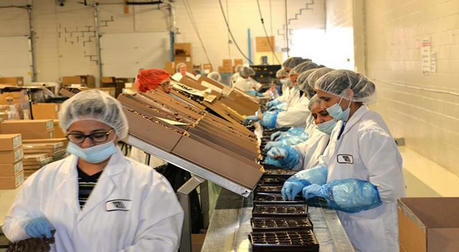Employment Outlook for Pharmaceutical Packaging Workers: A Stable and Promising Career