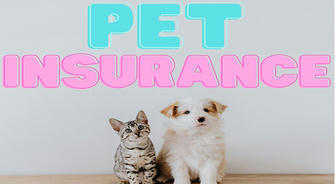 Why Should You Purchase Pet Insurance?